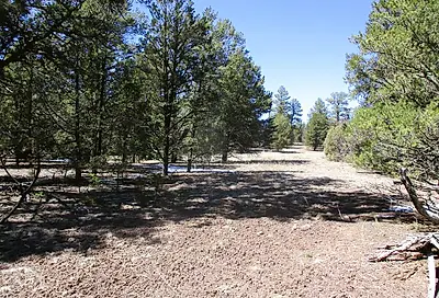 Lot 5 Copperweed Road