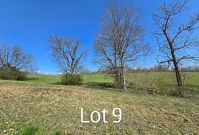 Lot 9 State Highway 60 Ln