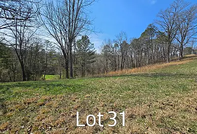 Lot 31 State Highway 60 Ln