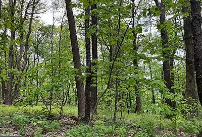 000 Little Valley Road #Lot #69