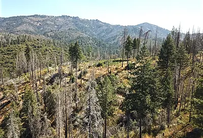 Old Yosemite Road