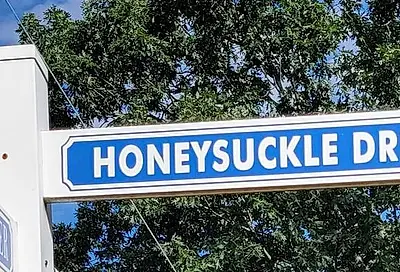 TW 398 Honeysuckle