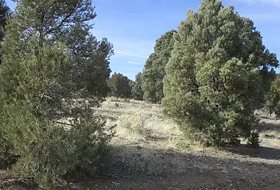 Nevada Hwy 322 (13.753 Ac)