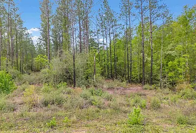 Lot 8 Mineral Springs Rd