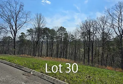 Lot 30 State Highway 60 Ln