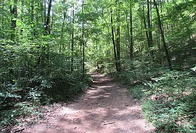 1 Running Deer Trail