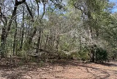 Lot 25, 26 Choctawhatchee River Road