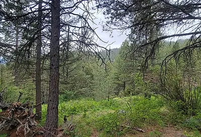 NHN Copper Ridge Trail