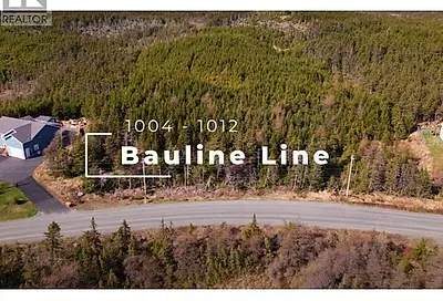 1004-1008 Bauline (PARCEL A) Line Bauline NL A1K1E7