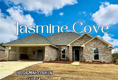 302 Jasmine Cove Lane