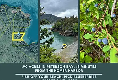 Tract 3 Peterson Bay