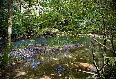 532 Catheys Creek