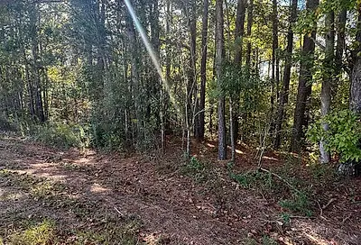 1 acre County Road 19