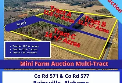 Tract C County Road 577