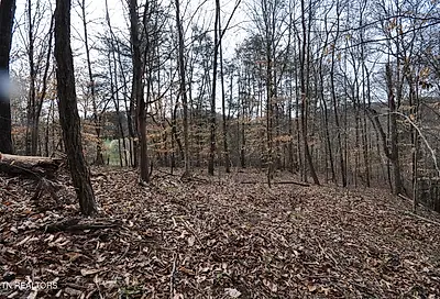 10.02 Acre Old Tazewell Pike