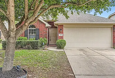 9119 Stag Brook Court Humble TX 77338