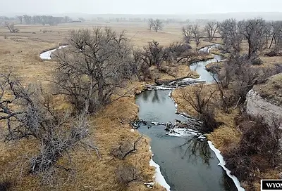 Laramie River 50