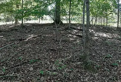Deer Pond Circle