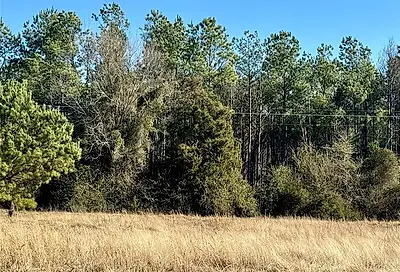 Lot 29 Twin Springs Trail