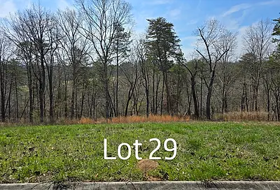 Lot 29 State Highway 60 Ln
