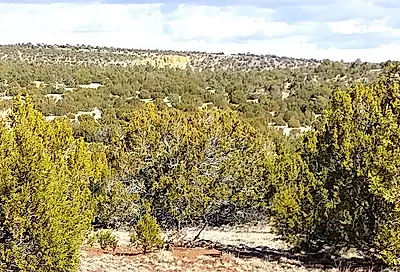 5 Lots in Show Low Pines