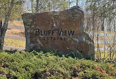 00 Bluff View Dr