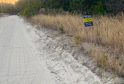 Old Shoals Road # Phase 2 Lot 4