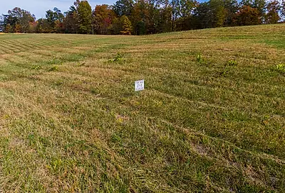 Lot 31 Spring Branch Hollow Road