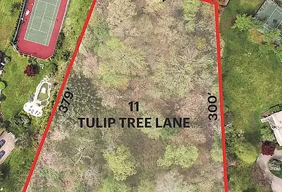 11 Tulip Tree Lane