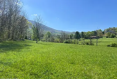 Spring View Drive
