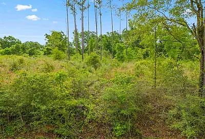 Lot 28 Mineral Springs Rd