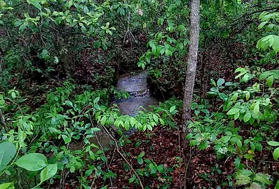 Rains Creek
