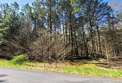Lot 511 E Forest Road