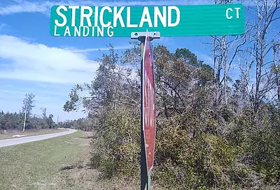 000 Strickland Landing Ct