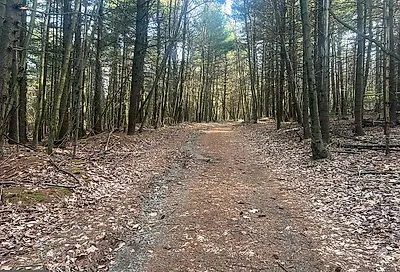00 Green Trail