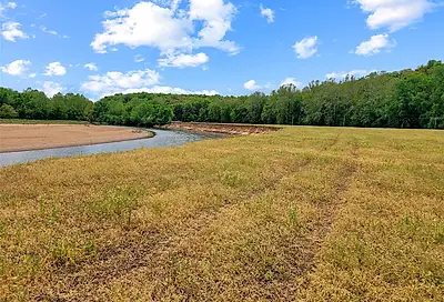 Old Cove Rd. (117.6+/- Acres)