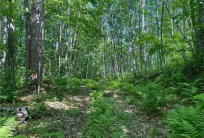 Lot 7 Secluded Trail