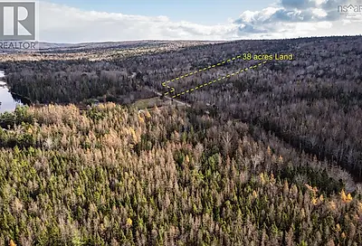38 acres Southside River Denys Rd Valley Mills NS B0E2Y0